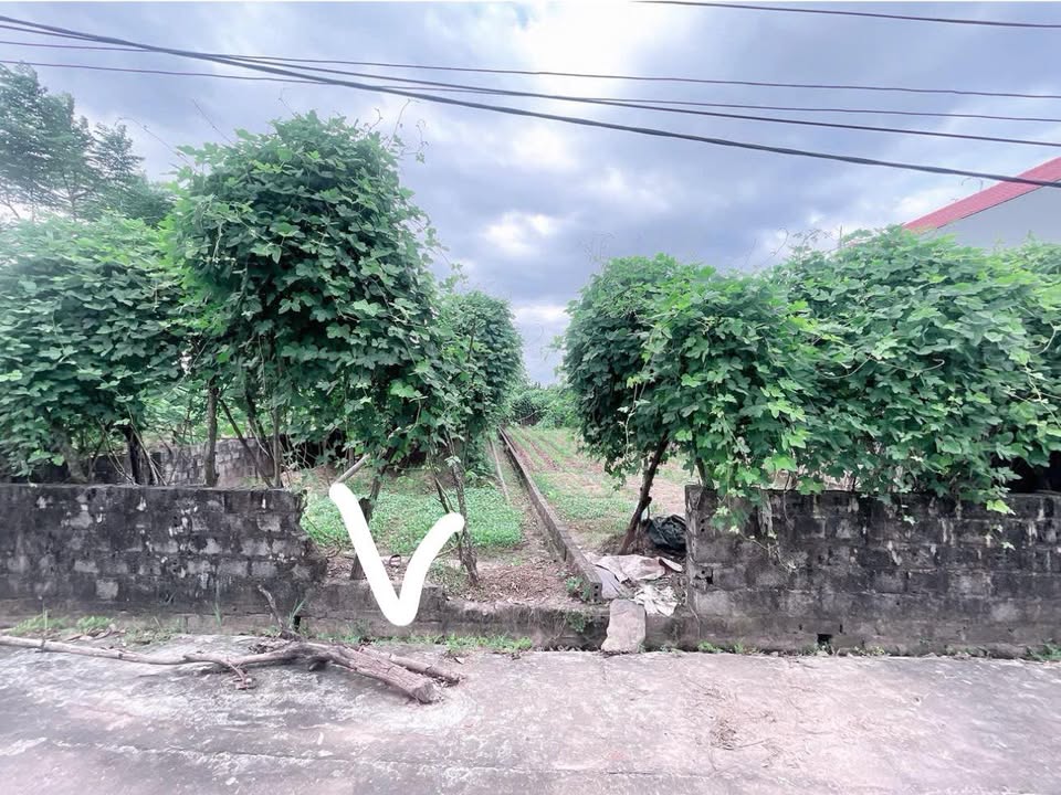 Đất nền thổ cư Đồng Du 173m² giá 1.4 tỷ - Đường thông ô tô thuận tiện!