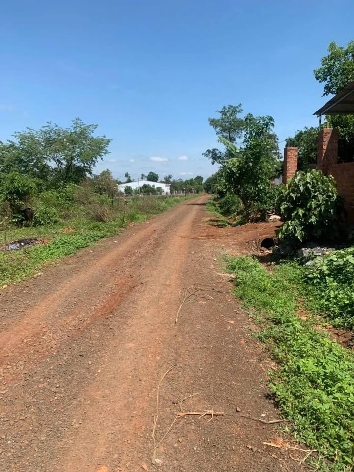 Đất thổ cư Đắk Liêng 137m² giá 435 triệu - Bán gấp, lỗ 100 triệu!