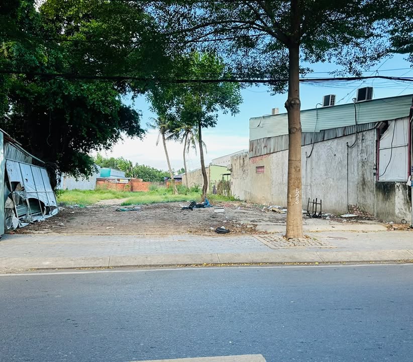 Đất nền 1300m² tại đường Nguyễn Văn Tạo, Nhà Bè - Giá đầu tư hấp dẫn!