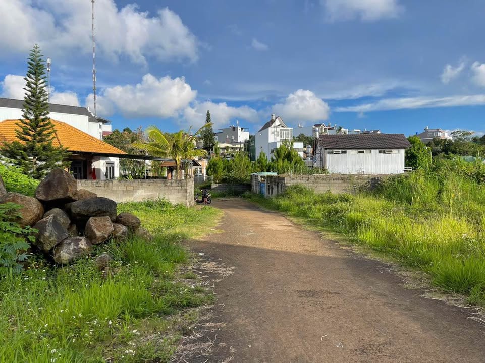 Đất nền hẻm Đường Hồ Tùng Mậu, Bảo Lộc 154m² giá 3.5 tỷ - Đầu tư sinh lời ngay!