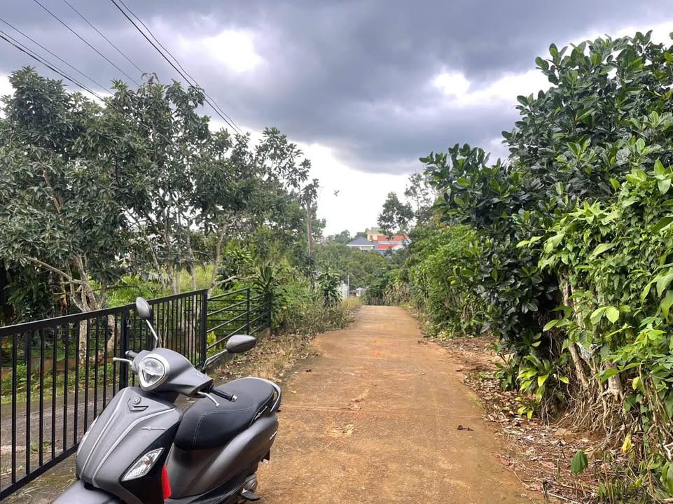 Đất hẻm Tứ Quý, Lộc An, Bảo Lâm 723m² giá 1.9 tỷ - Sổ hồng chính chủ!