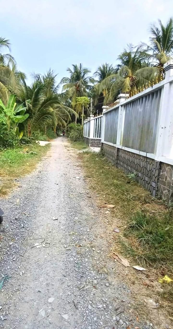 Đất nền 450m² tại An Thạnh Thủy, Tiền Giang - Giá chỉ 750 triệu