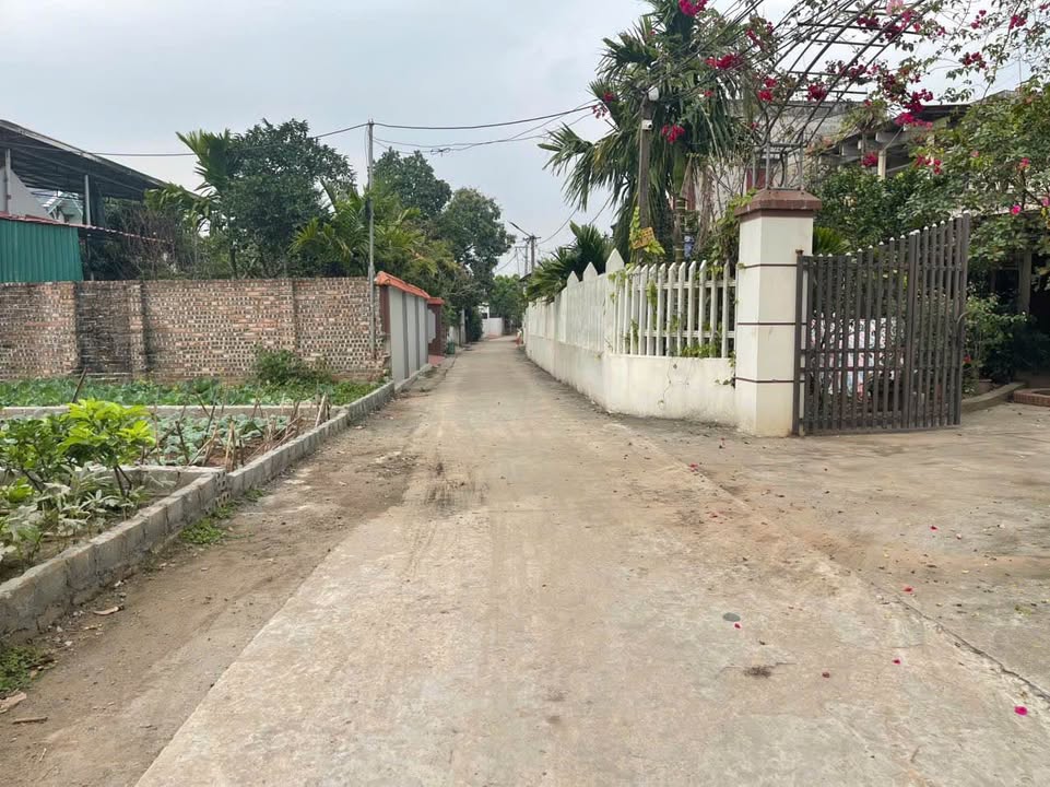 Đất thổ cư Đông Tảo 87.5m² giá chỉ 2x triệu - Sổ đỏ chính chủ!