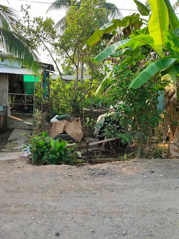 Đất nền Thị trấn Tam Bình 87,3m² giá chỉ 109 triệu - Cơ hội vàng cho nhà đầu tư!