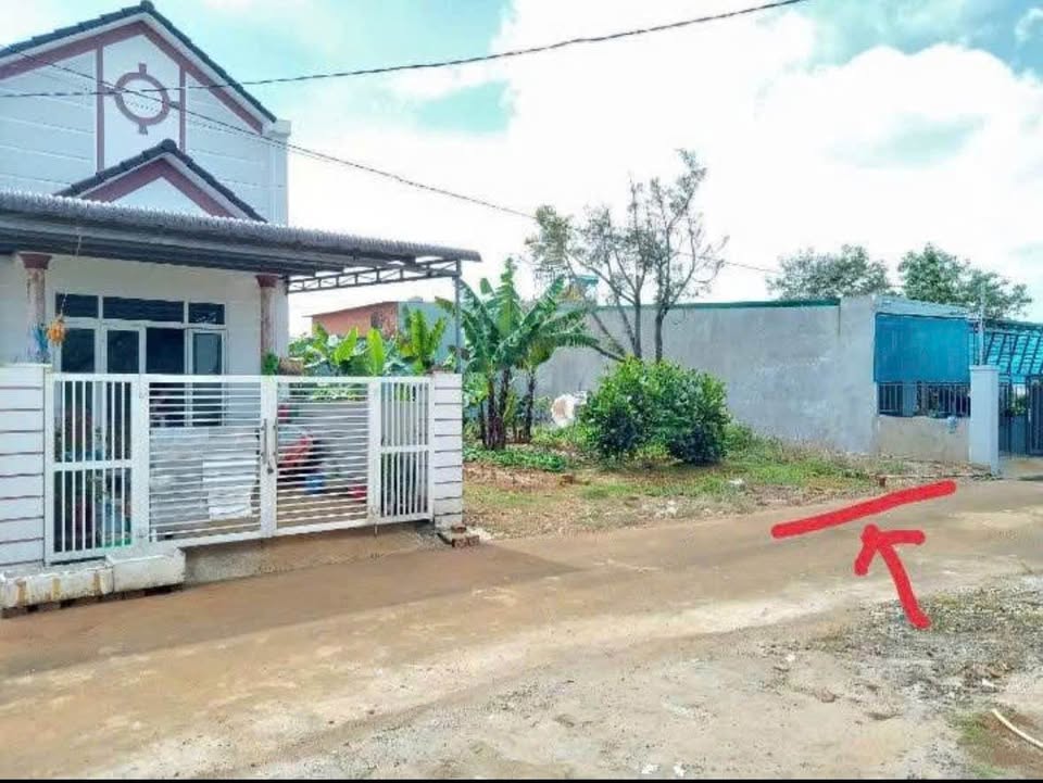 Đất nền Bảo Lộc 100m² giá 1.25 tỷ - Đầu tư ngay hôm nay!