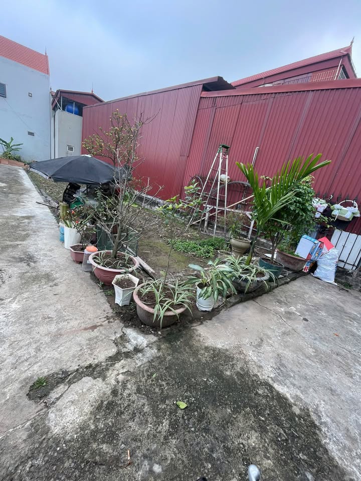 Đất nền Chương Dương, Thường Tín 95m² giá 5 tỷ - Ô tô vào tận nơi!