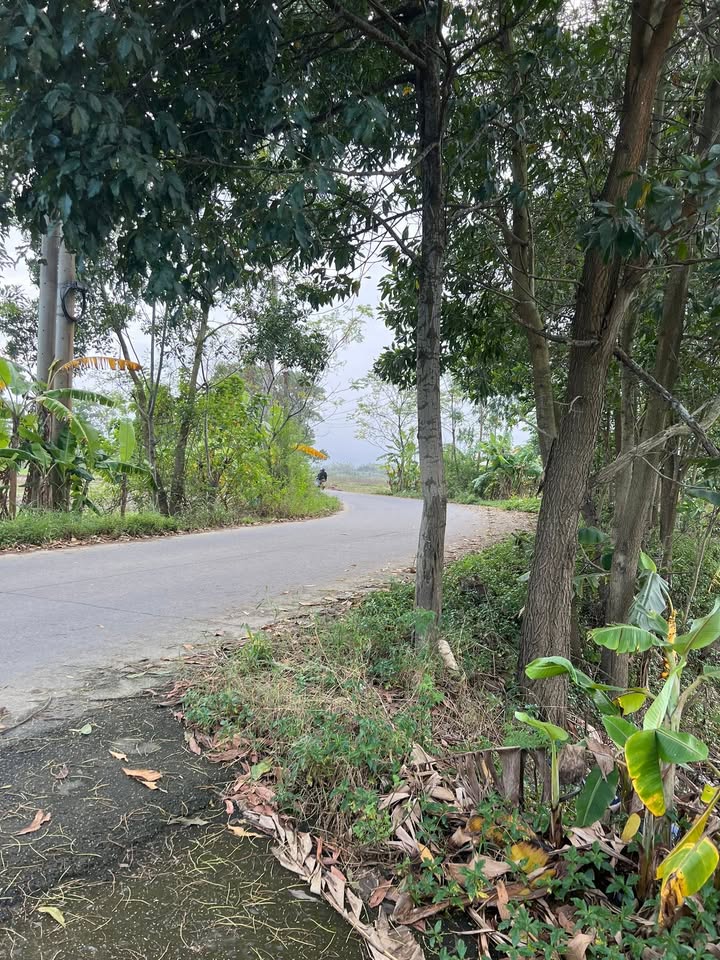 Đất ở Hòa Châu, Đà Nẵng 96m² giá 900 triệu - Đầu tư sinh lời ngay!