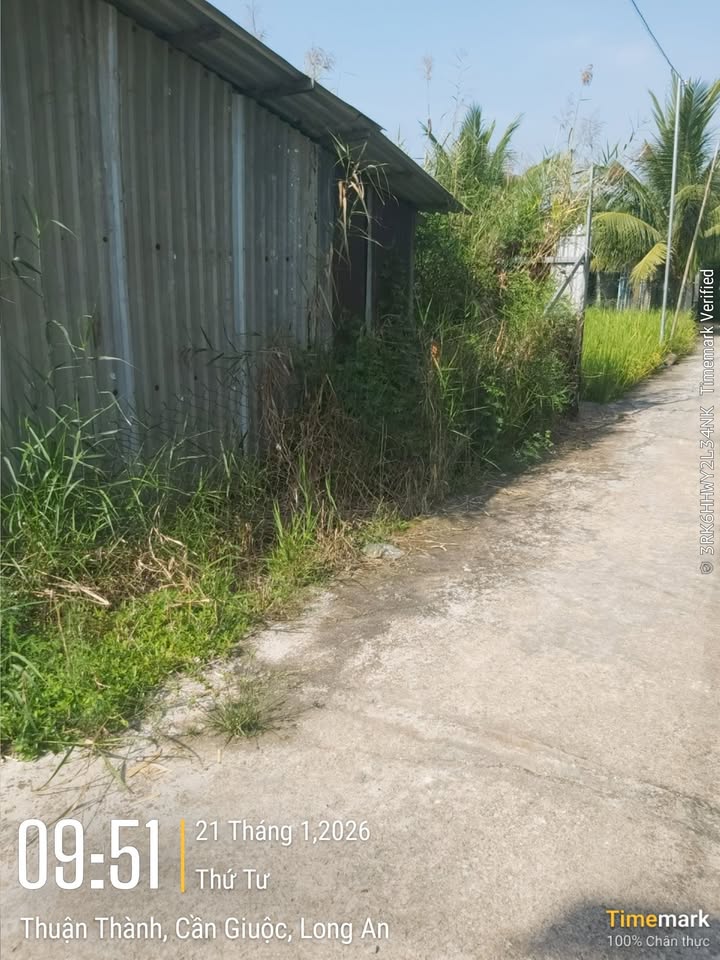 Đất thổ cư 212m² xã Mỹ Lộc - Giá 1.3 tỷ, thương lượng ngay!