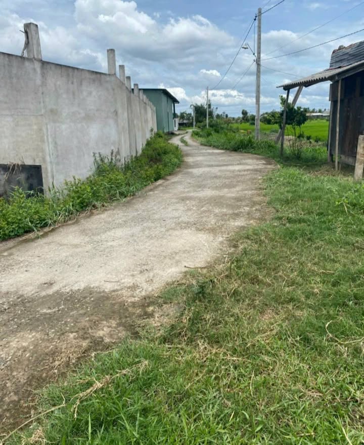 Đất vườn 500m² tại Xã Vàm Cỏ, Huyện Tân Trụ chỉ 400 triệu - Cơ hội đầu tư tuyệt vời!