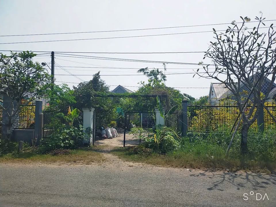 Đất thổ cư 320m² mặt tiền đường Hương Lộ 25, Tân Phước Tây - Giá 2.3 tỷ, đầu tư sinh lời!