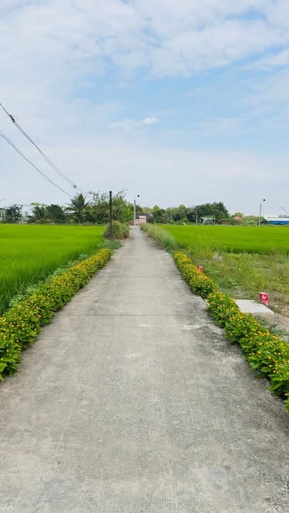 Đất Thổ Cư 146m² tại Ấp Lộc Tiền, Giá 1.05 Tỷ - Cơ Hội Vàng Đầu Tư!