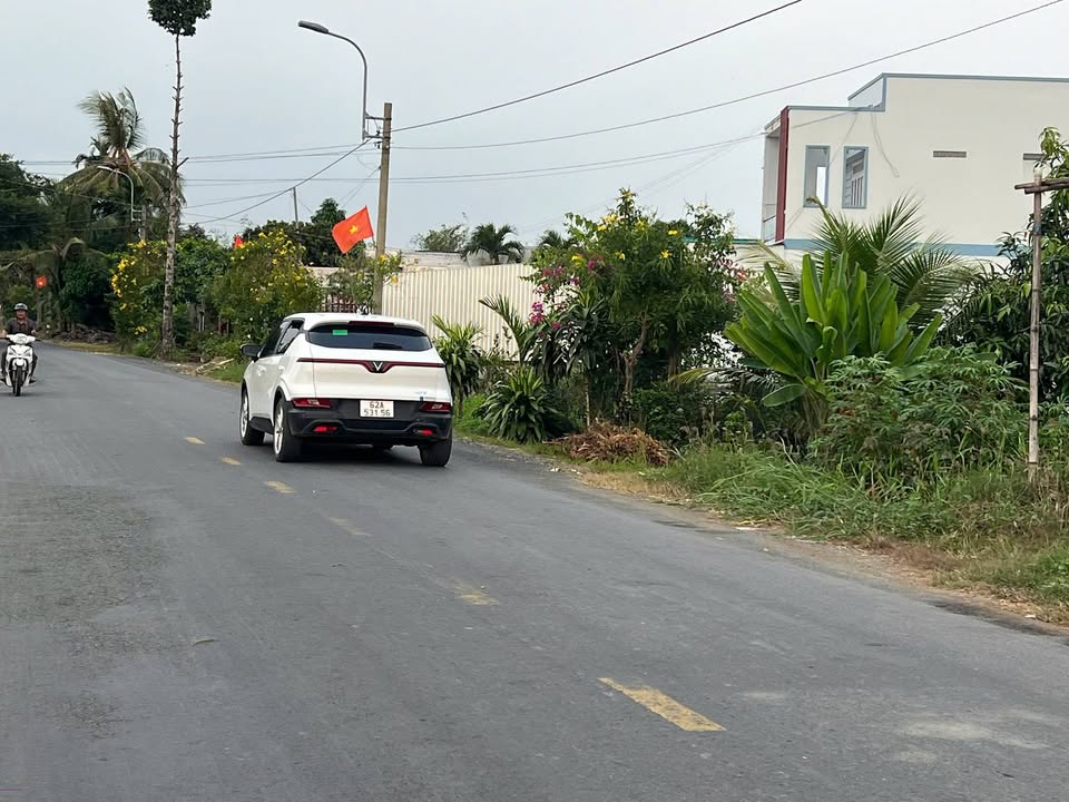 Mặt tiền FrontHouse Cao Thị Mai Tân Trụ 200m² giá 1.29 tỷ - Cơ hội vàng cho nhà đầu tư!