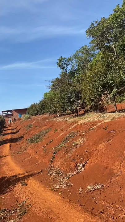 Farm Sầu Riêng 2ha xã Thọ Sơn giá 1.5 tỷ - Đầu tư sinh lời ngay!