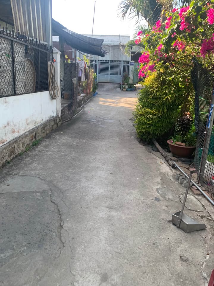 Đất nền chính chủ tại Xã Long Điền, Bình Dương 100m² giá chỉ 800 triệu - Cơ hội đầu tư tuyệt vời!