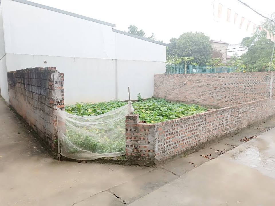 Đất nền xóm 4, Thủy Xuân Tiên 74m² giá 2 tỷ - Sổ đỏ chính chủ!