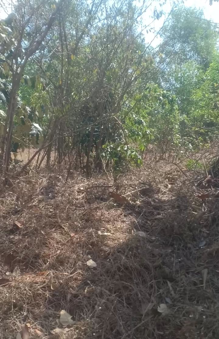 Đất nền 1 Sào tại xã Thiện Nghiệp, TP Phan Thiết, 1.65 tỷ - Gần biển Mũi Né!