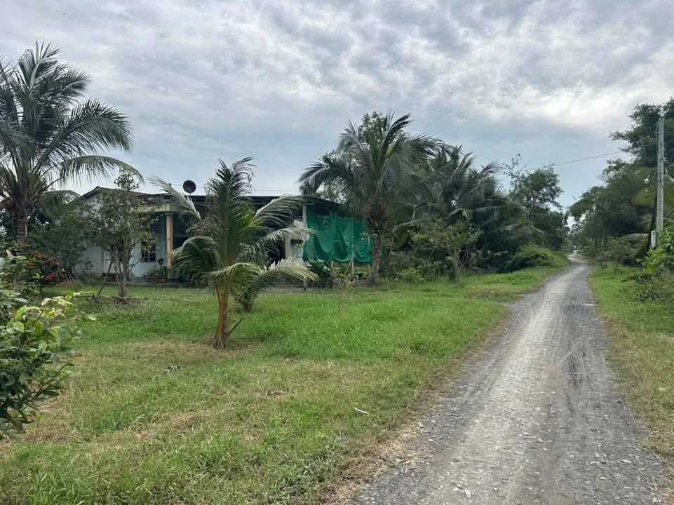 Đất thổ cư Xã Bình Hòa Bắc, Đức Huệ, Long An 315m² giá 800 triệu - Đầu tư sinh lời tốt!