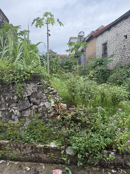 Đất thổ cư Đồng Văn Xanh 117m² giá chỉ từ 2x triệu - Cơ hội đầu tư tuyệt vời!