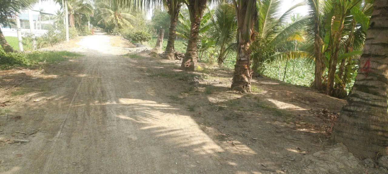 Đất nông nghiệp 56.000m² tại Xã Vĩnh An, Châu Thành, An Giang - Giá 10.21 tỷ - Cơ hội đầu tư sinh lời!