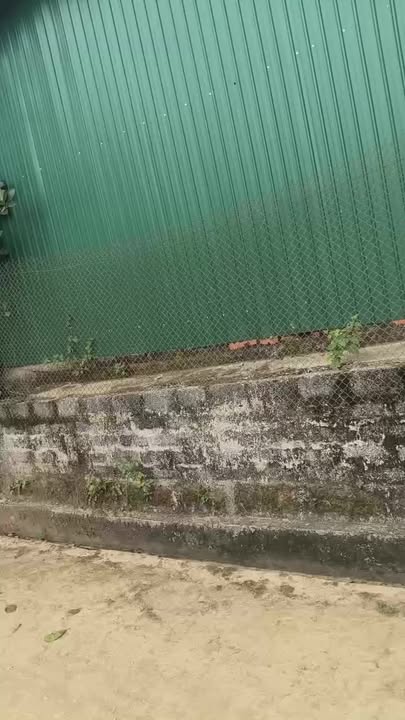 Đất thổ cư xã Nam Hưng, huyện Nam Đàn, 757m² - Đầu tư sinh lời ngay!