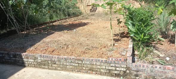 Đất nền Làng Chè Liên Khê 70m² giá 1 tỷ - Đầu tư sinh lời rõ ràng!