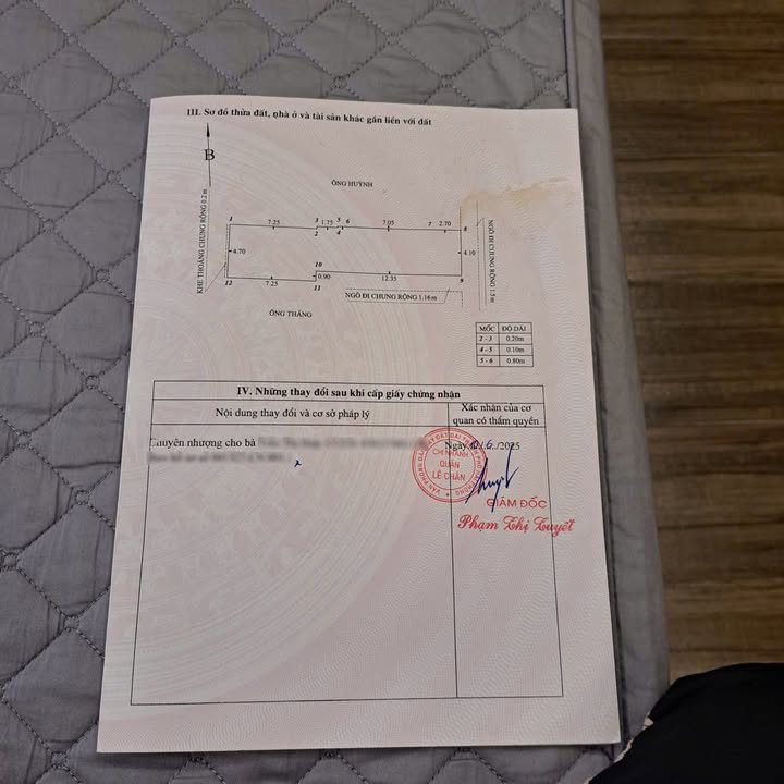 Đất nền ngõ đường Hồ Sen, Hải Phòng 84m² - Giá 4 tỷ, chính chủ bán gấp!