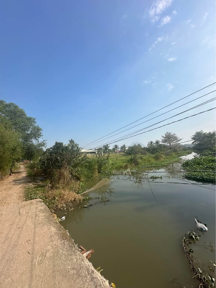 Đất nền Phường 3 Tây Ninh 6000m² 3 tỷ - Sổ đỏ chính chủ