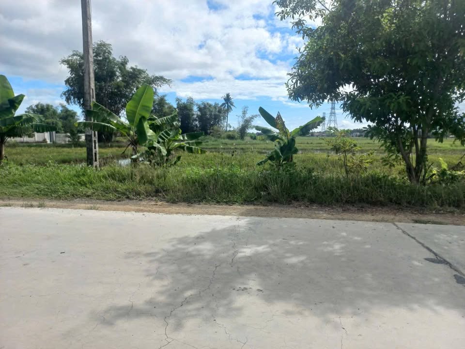 Đất thổ cư Ninh Đông, Ninh Hòa 1770m² giá 8.85 tỷ - Cơ hội đầu tư hấp dẫn!