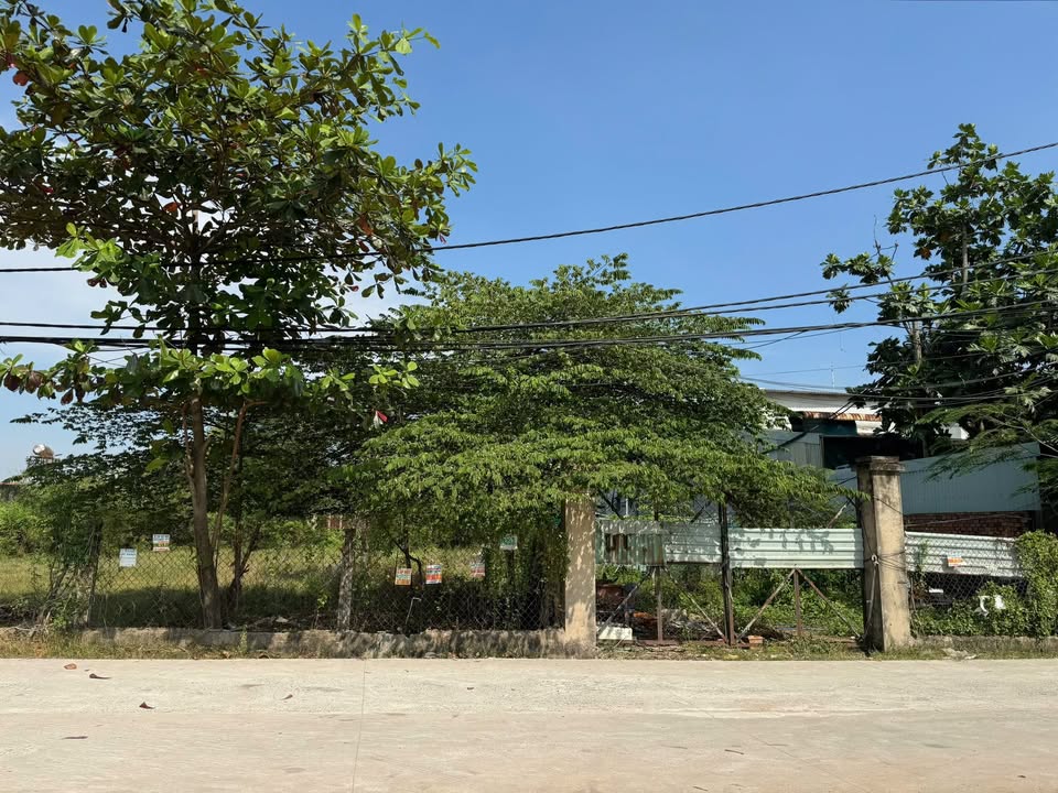 Đất trồng cây lâu năm xã Vĩnh Lộc B, Bình Chánh 1446m² giá 10 tỷ - Đầu tư sinh lời ngay!