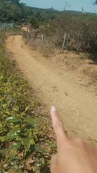 Farm 12,680m² tại Minh Hưng, Bù Đăng - Giá 1 tỷ, sẵn sàng giao dịch!