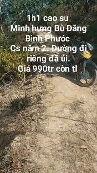 Đất farm 10.000m² tại Minh Hưng, Bù Đăng - Giá chỉ 990 triệu - Cơ hội đầu tư tuyệt vời!