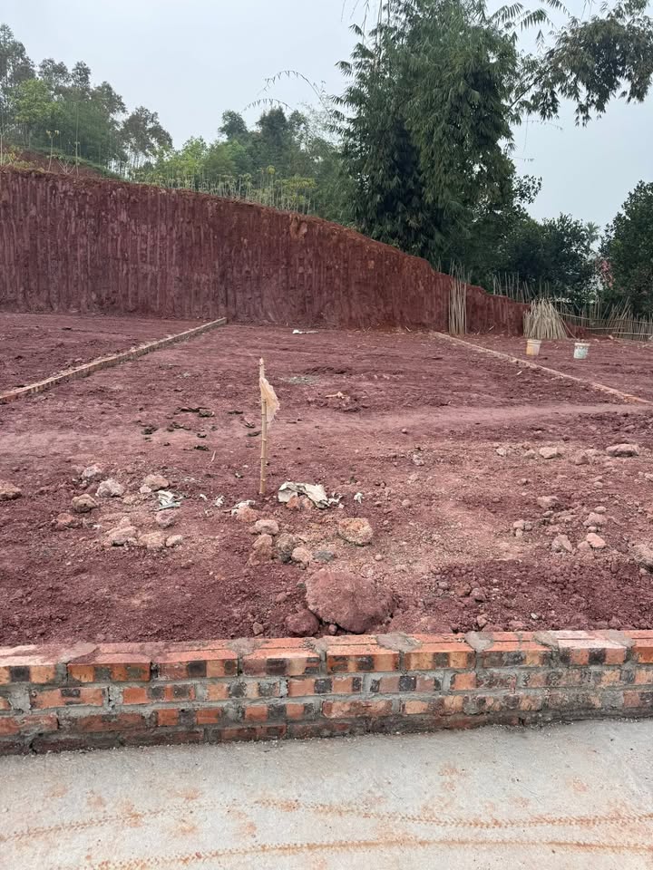 Đất nền xã Tam Sơn, Cẩm Khê 148m² giá 500 triệu - Pháp lý rõ ràng, cơ hội đầu tư tốt!