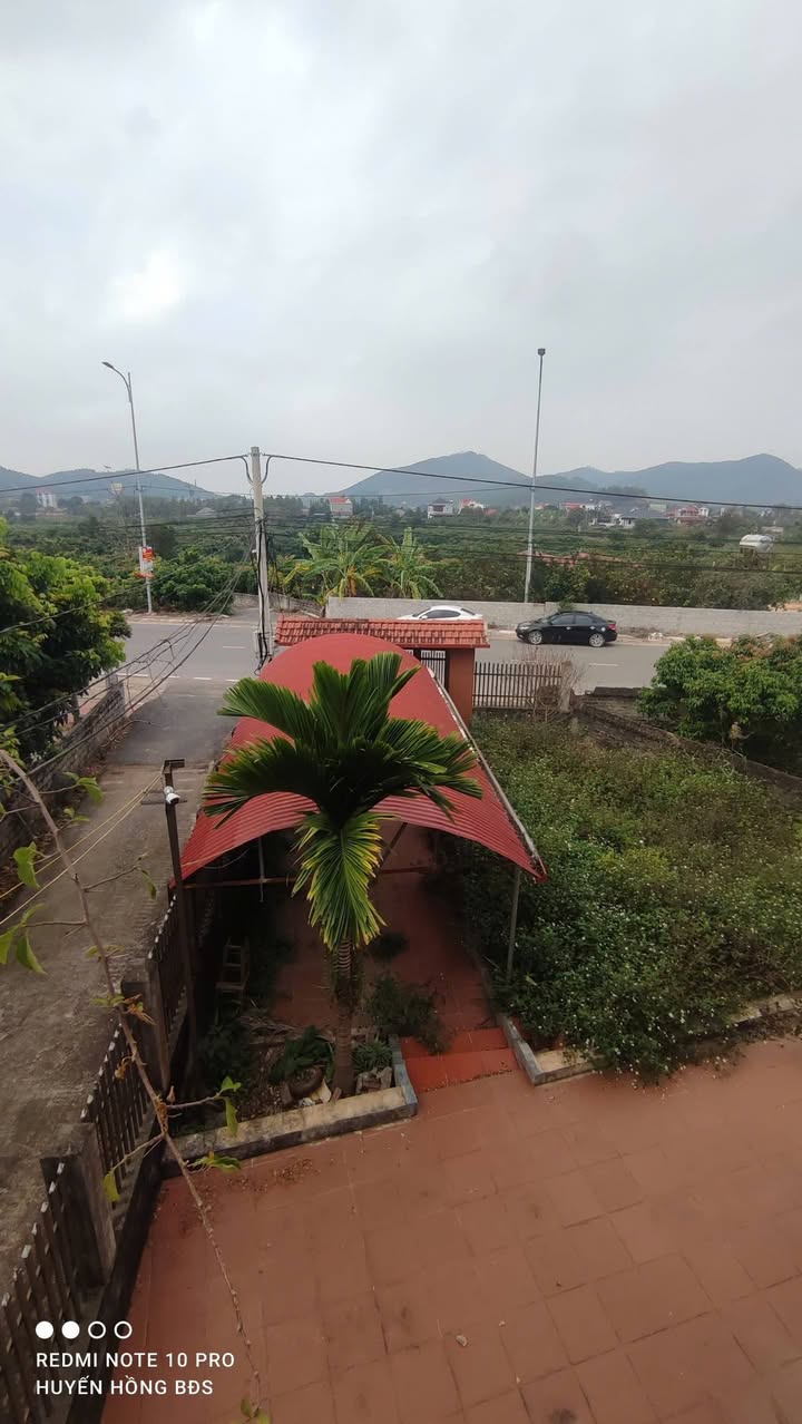 Nhà mặt tiền Đường Liên Xã, Huyện Lục Nam, Bắc Giang 1100m² giá 3 tỷ - Kinh doanh thuận lợi!