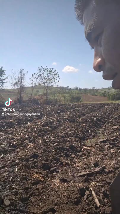 Đất vườn Kông Chro Gia Lai 1,8ha giá chỉ 1,2 tỷ - Đầu tư sinh lời bền vững!