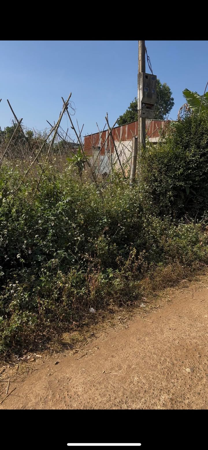 Đất nền An Phú, Pleiku 180m² giá thỏa thuận - Cơ hội đầu tư hấp dẫn!