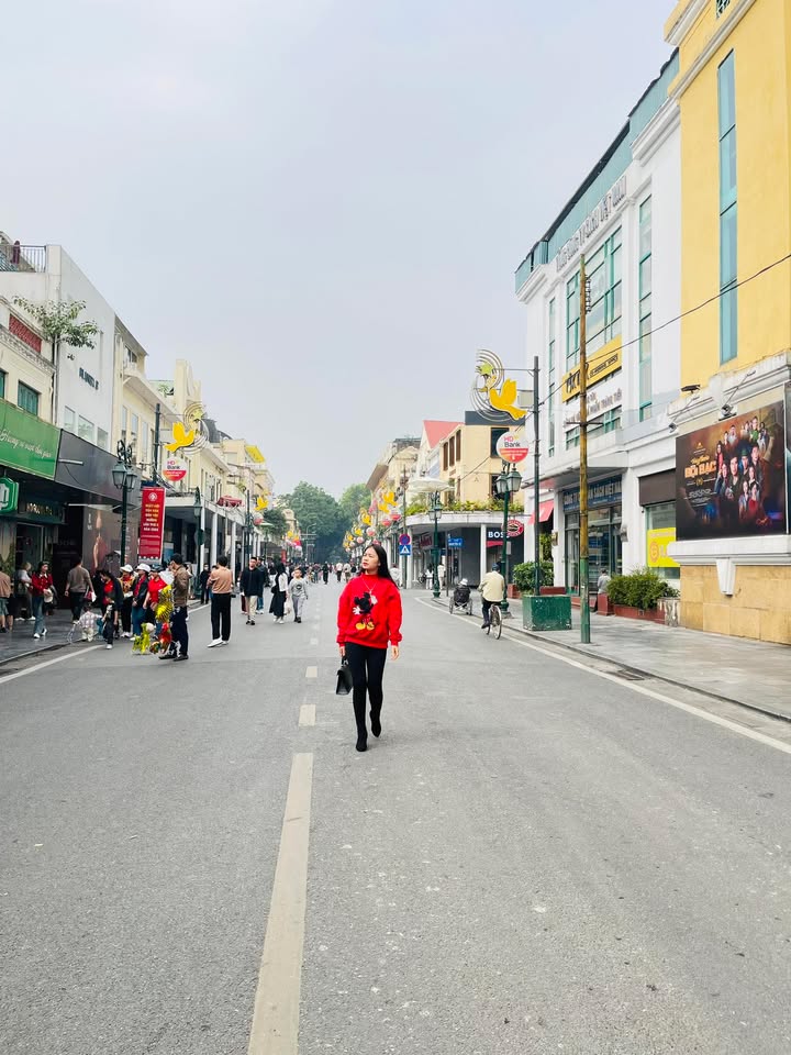 Nhà phố Việt Hùng Đông Anh 60m² giá 4 tỷ - Chính chủ bán gấp!