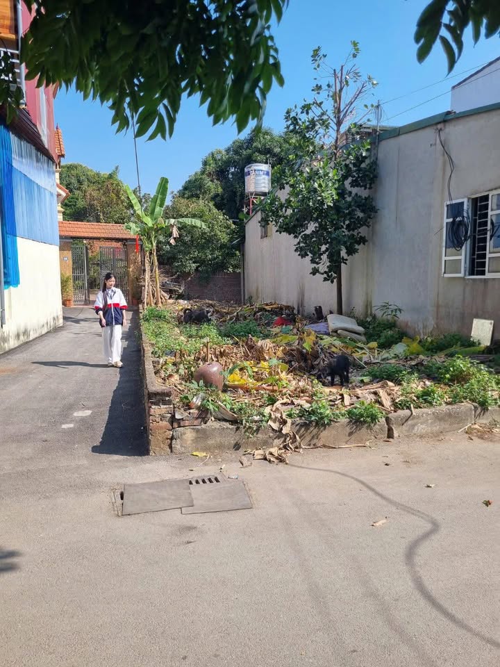 Đất nền lô góc 97m² tại Phúc Yên - View hồ trung tâm - Tiềm năng đầu tư lớn!