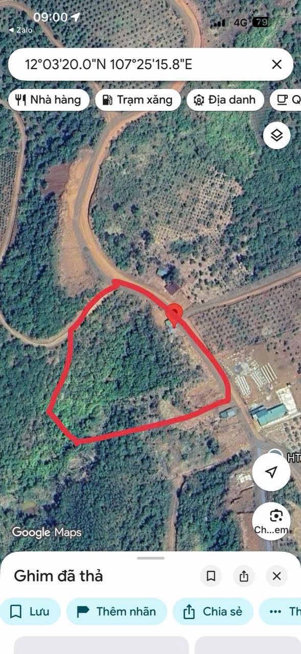 Đất nền kinh doanh tại xã Quảng Tân, huyện Tuy Đức - 20.000m² giá chỉ 2.3 tỷ!