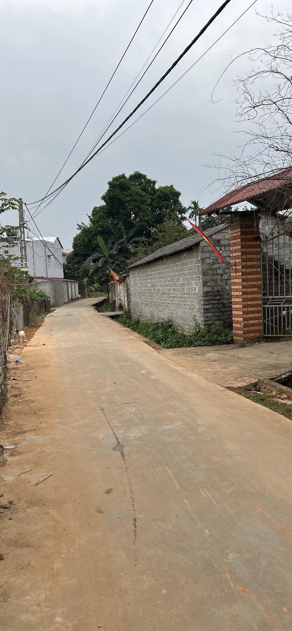 Lô đất 2 mặt tiền Xã Minh Đức 550m² giá chỉ 2 tỷ - Kinh doanh thuận lợi!