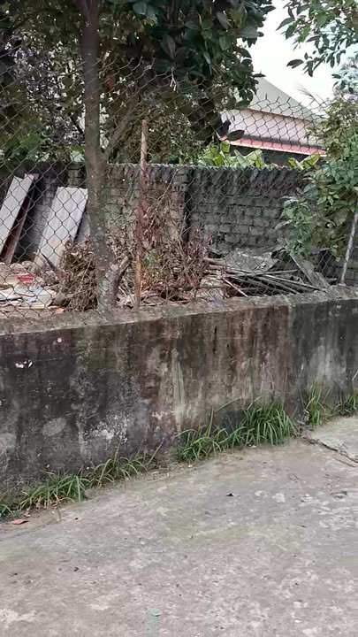 Đất nền Tân Sơn, Đoan Bái, 125m² giá thỏa thuận - Cơ hội vàng cho nhà đầu tư!