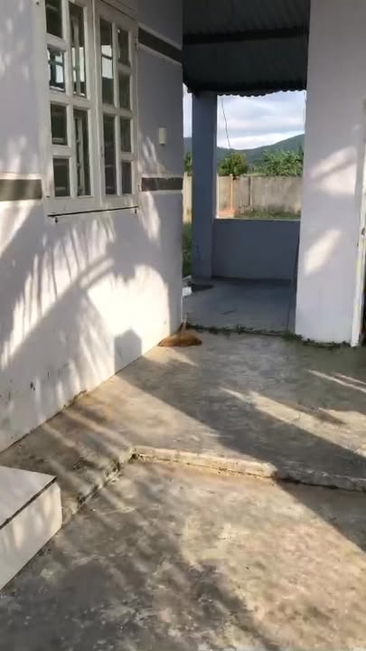 Nhà vườn 500m² tại Ninh Hòa chỉ 1.2 tỷ - Đầu tư sinh lời ngay!