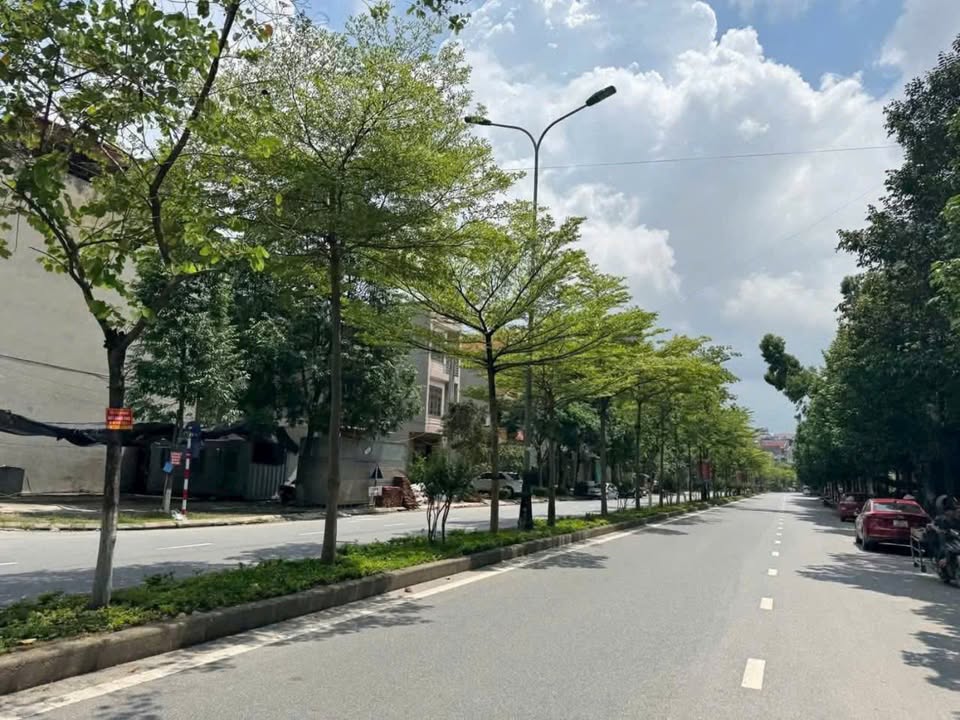 Đất kinh doanh trục Bình Than – Bò Sơn 3, 72m² giá 12 tỷ - Cơ hội đầu tư tuyệt vời!