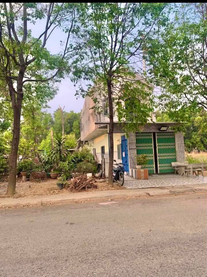 Đất nền 183m² đường nhựa N2, Bến Cát, Bình Dương - Giá chỉ 1 tỷ VND!