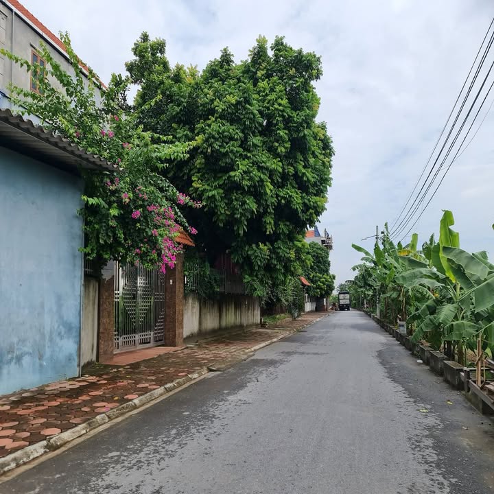 Đất thổ cư Dương Xá Gia Lâm 41m² giá chỉ 2 tỷ - Sổ hồng chính chủ!