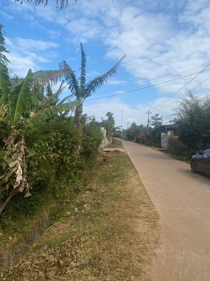 Đất thổ cư Buôn Knia, Huyện Cư Kuin, Đắk Lắk 125m² - Chính chủ bán gấp!