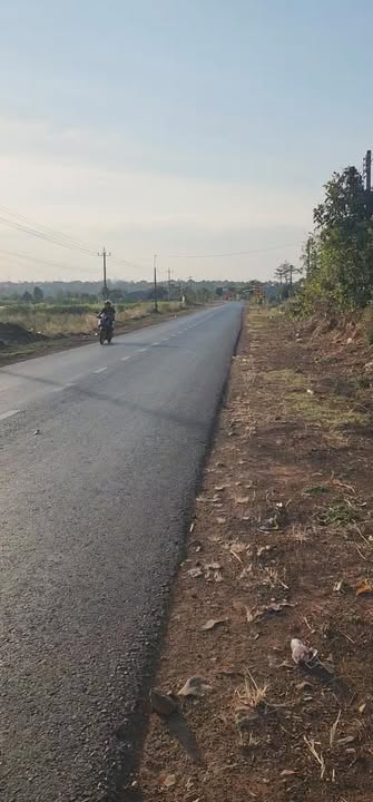 Đất vườn và đất nền đường tỉnh lộ 55, huyện An Lão 5500m² - Cơ hội đầu tư tốt!