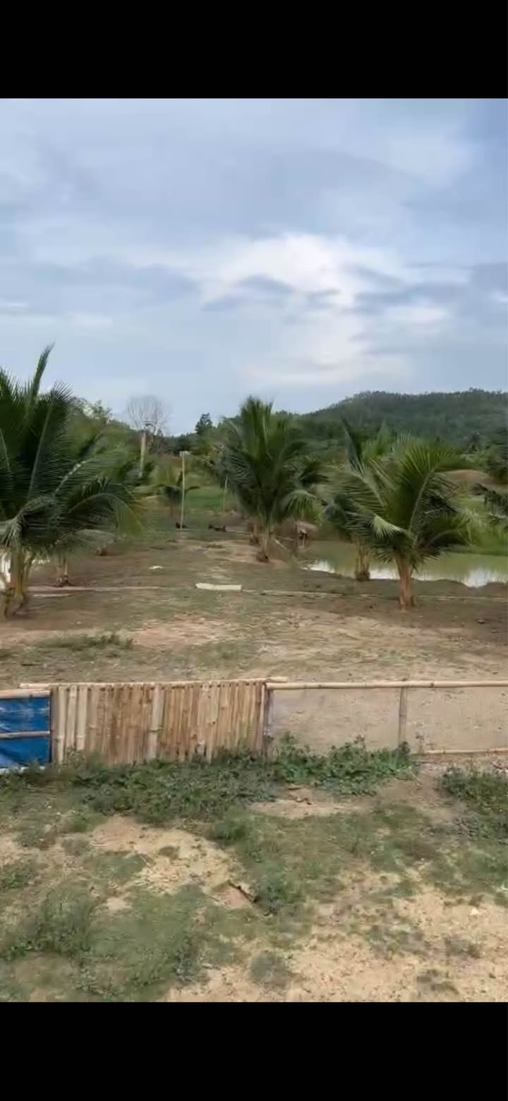 Đất vườn Thôn 5 Ninh Sơn 6900m² giá 1 tỷ - Cơ hội đầu tư hấp dẫn!