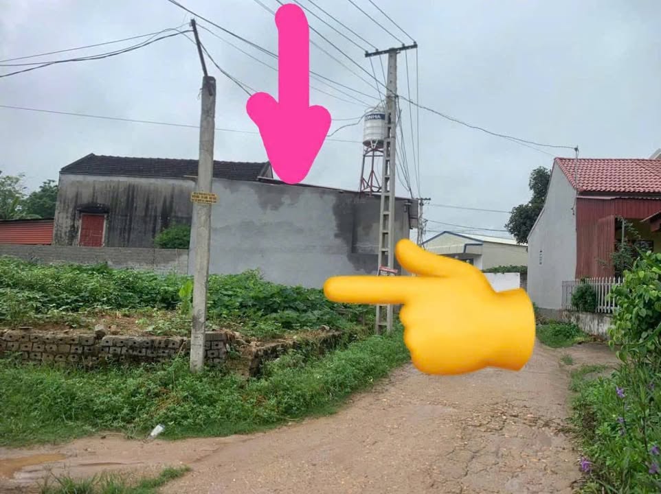 Đất nền Xã Kép Huyện Lạng Giang 100m² giá 700 triệu - Cơ hội đầu tư tốt!