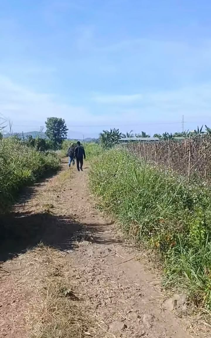 Đất nền Tân Hội - Đức Trọng 13.320m² giá 2.4 tỷ - Sổ đỏ chính chủ, ô tô tận đất!