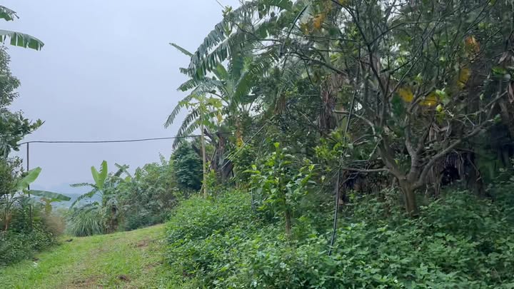 Lô đất Farm 17ha tại Huyện Lạc Thủy, Hòa Bình giá 23 tỷ - Cơ hội đầu tư tuyệt vời!